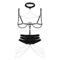 Harness Premisis - Obsessive