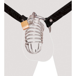 Extreme Chastity Belt - Fetish Fantasy Extreme