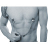 Nippel Klemmen mit Metallkette - fetish collection