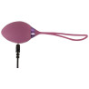 Rovana RC Love Ball - beau coeur