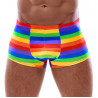 Svenjoyment Pants Regenbogenfarben