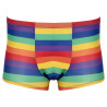 Svenjoyment Pants Regenbogenfarben