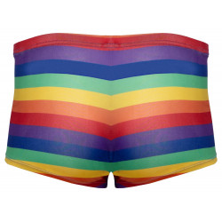 Svenjoyment Pants Regenbogenfarben