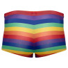 Svenjoyment Pants Regenbogenfarben