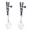 Nipple Drops - Nippelklemmen - Bad Kitty