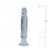 Anal Starter Dildo - Crystal Jellies