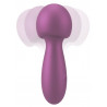 Sweet Smile Metallic Mini Wand