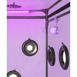 Scandale BDSM Kabine - Secret Dome