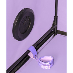 Scandale BDSM Kabine - Secret Dome