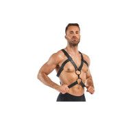 Harness